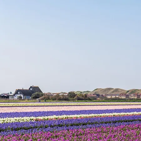 Badhotel 334 In Aan Zee Apartamento Callantsoog